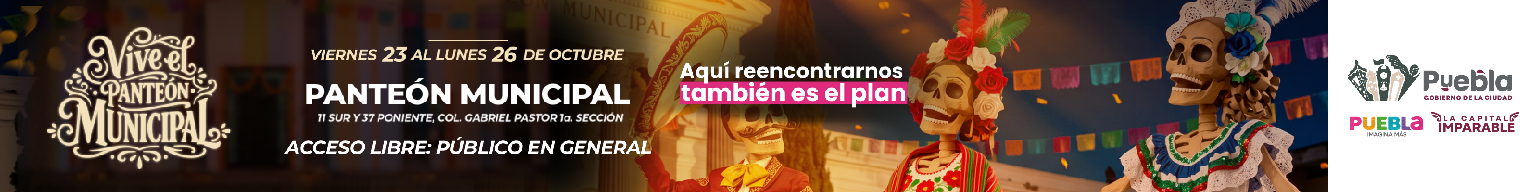 spot_img